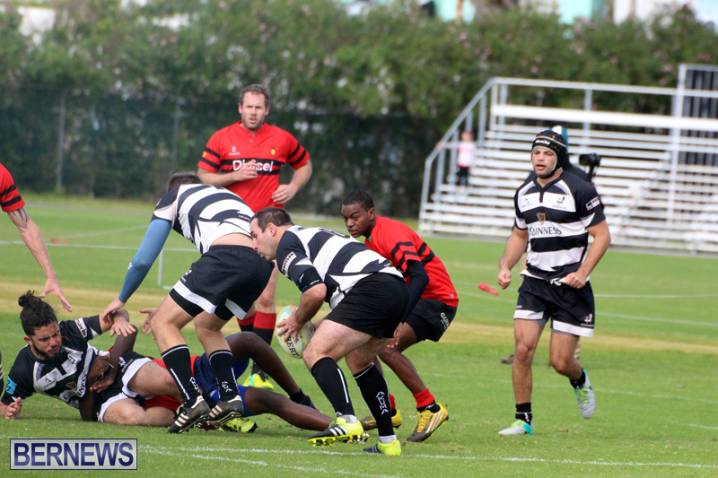Rugby-Nicholl-Shield-Scully-Cup-Bermuda-March-4-2017-5