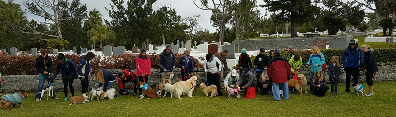 SPCA-Paws-To-The-Park-Bermuda-March-5-2017-19