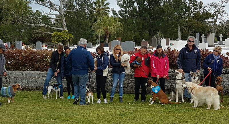 SPCA-Paws-To-The-Park-Bermuda-March-5-2017-21