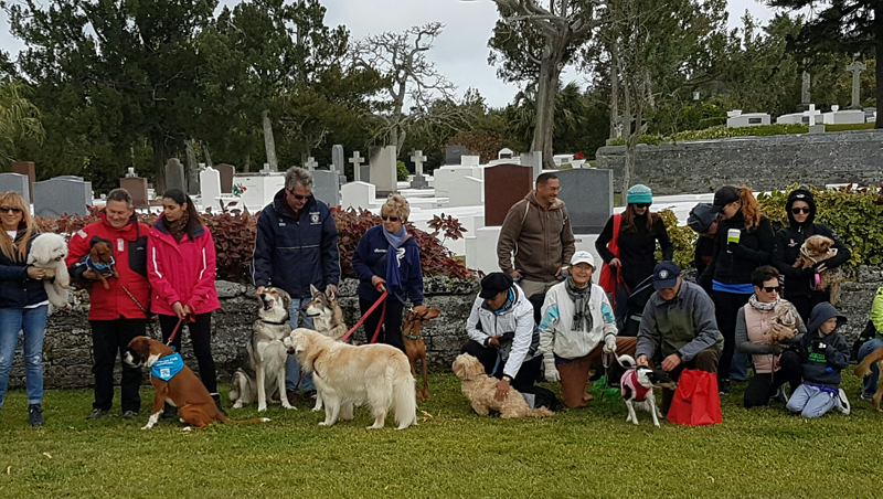 SPCA-Paws-To-The-Park-Bermuda-March-5-2017-22