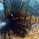 11th Hour Lionfish Cookoff April 2017 Bermuda (3)