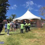 Agriculture show entry Bermuda April 21 2017 (1)