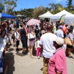 Agriculture show entry Bermuda April 21 2017 (12)