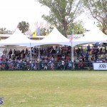 Agriculture show entry Bermuda April 21 2017 (36)