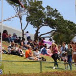 Agriculture show entry Bermuda April 21 2017 (40)