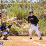 Baseball Bermuda, April 22 2017-11