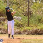 Baseball Bermuda, April 22 2017-33