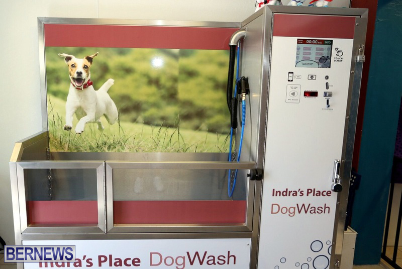 Dog bath online places