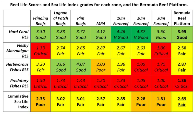 Bermuda Coral Reef Health Report Released - Bernews