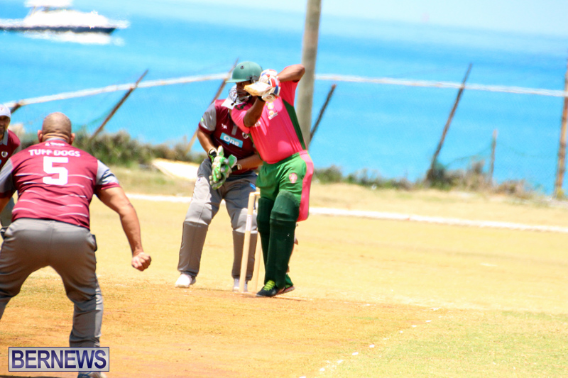 BCB-Twenty20-Cricket-Bermuda-May-21-2017-12