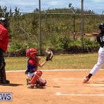 Baseball Bermuda, May 13 2017-8