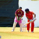 Cricket Twenty20 Bermuda April 30 2017 (17)
