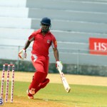 Cricket Twenty20 Bermuda April 30 2017 (5)