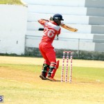 Cricket Twenty20 Bermuda April 30 2017 (7)