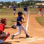 YAO Baseball Bermuda, May 20 2017-17