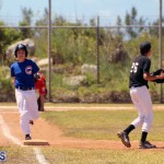 baseball bermuda May 16 2017 (13)