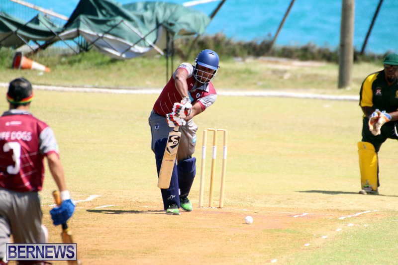 BCB-Twenty20-Cricket-Bermuda-May-28-2017-11