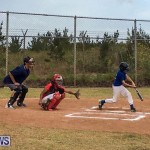 Baseball Bermuda, June 11 2017 (1)