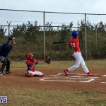 Baseball Bermuda, June 11 2017 (13)