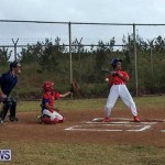 Baseball Bermuda, June 11 2017 (8)