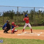 Baseball Bermuda, June 17 2017 (14)