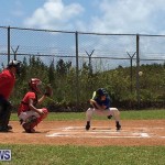 Baseball Bermuda, June 17 2017 (19)