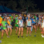 Bermuda Heroes Weekend June 2017 (8)