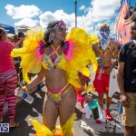Bermuda Heroes Weekend Parade Of Bands BHW, June 19 2017_3460
