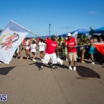 Bermuda Heroes Weekend Parade Of Bands BHW, June 19 2017_3552