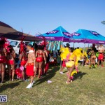 Bermuda Heroes Weekend Parade Of Bands BHW, June 19 2017_3779