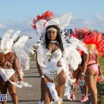Bermuda Heroes Weekend Parade Of Bands BHW, June 19 2017_4013