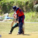 Cricket Bermuda June 7 2017 (1)