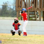 YAO Baseball Bermuda May 2017 (1)