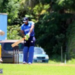 Cricket Bermuda July 8 2017 (15)