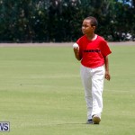 Mini Cup Match Bermuda, July 27 2017_4946