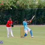 Mini Cup Match Bermuda, July 27 2017_4999