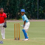 Mini Cup Match Bermuda, July 27 2017_5026