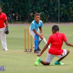 Mini Cup Match Bermuda, July 27 2017_5042