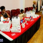 Natural Blessings Hair Beauty Expo Bermuda, July 22 2017_3151