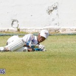 Eastern County Cricket Bermuda, August 19 2017_4548