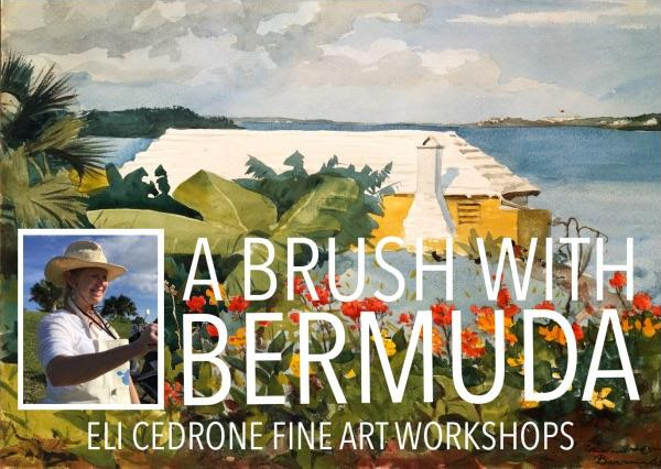 Eli Cedrone Workshop Bermuda Aug 2017 (1)