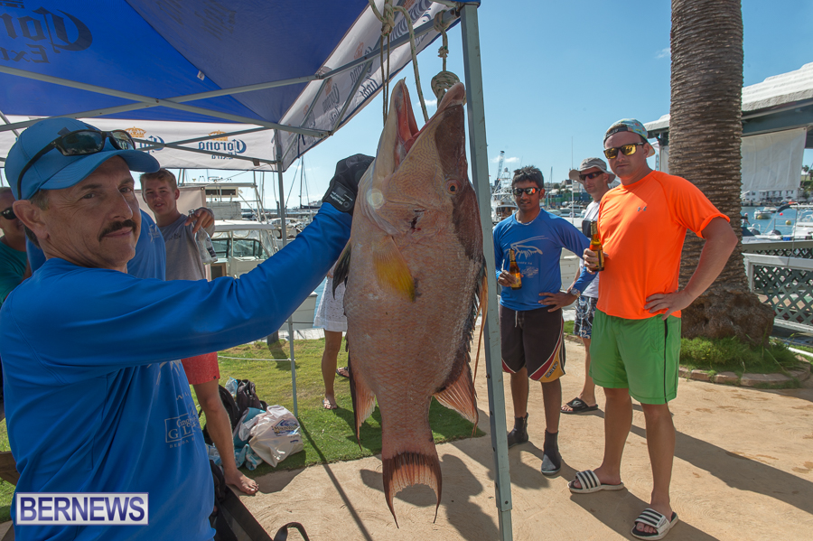 Makin-Waves-Lobster-Tournament-Bermuda-2014-14