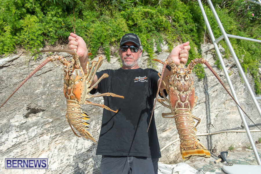 Makin-Waves-Lobster-Tournament-Bermuda-2014-26