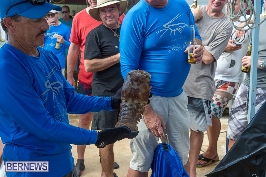Makin-Waves-Lobster-Tournament-Bermuda-2014-29