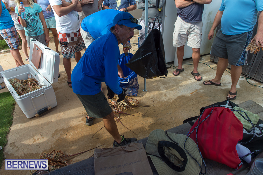 Makin-Waves-Lobster-Tournament-Bermuda-2014-31