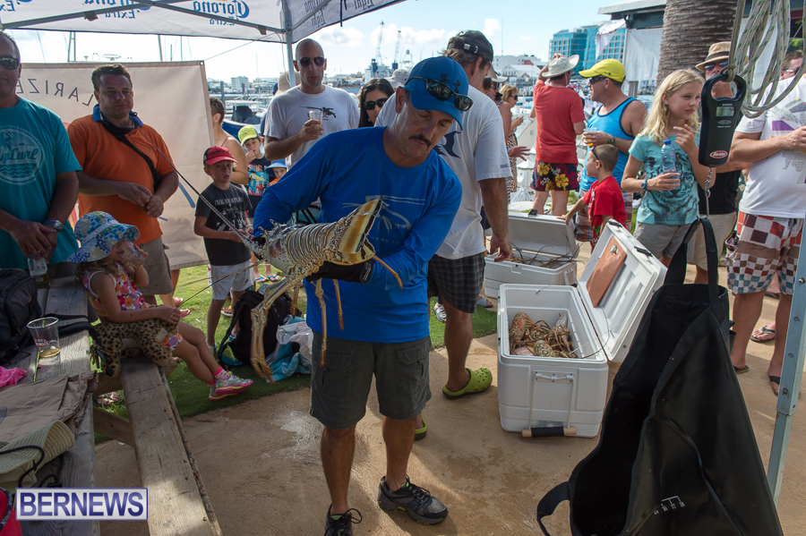 Makin-Waves-Lobster-Tournament-Bermuda-2014-34
