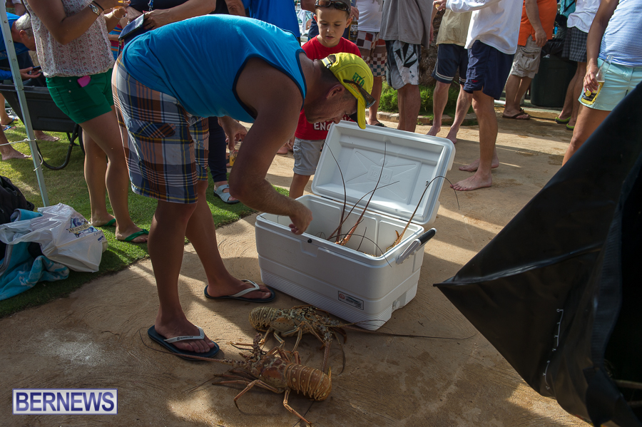 Makin-Waves-Lobster-Tournament-Bermuda-2014-39