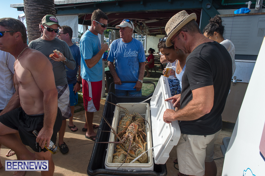 Makin-Waves-Lobster-Tournament-Bermuda-2014-45