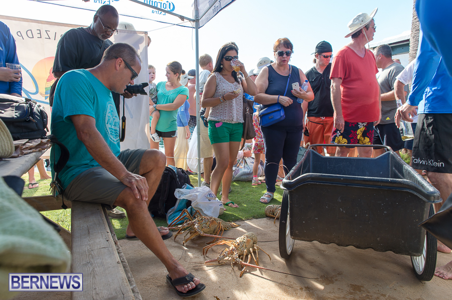 Makin-Waves-Lobster-Tournament-Bermuda-2014-46
