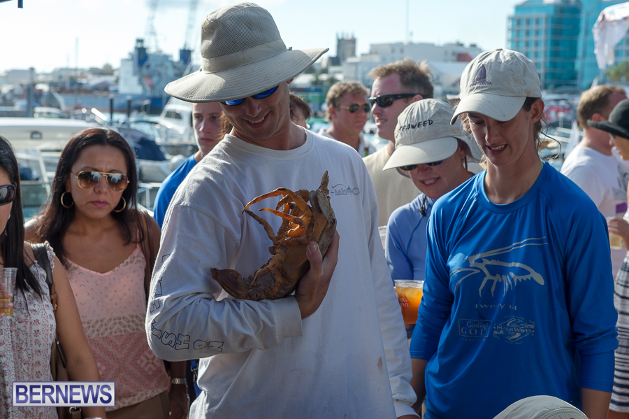 Makin-Waves-Lobster-Tournament-Bermuda-2014-48